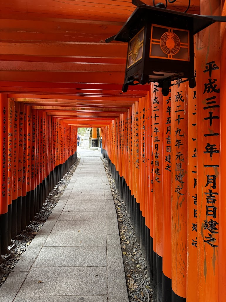 🇯🇵 Japan erleben: 20 spannende Besonderheiten, die du vor deiner Reise kennen solltest