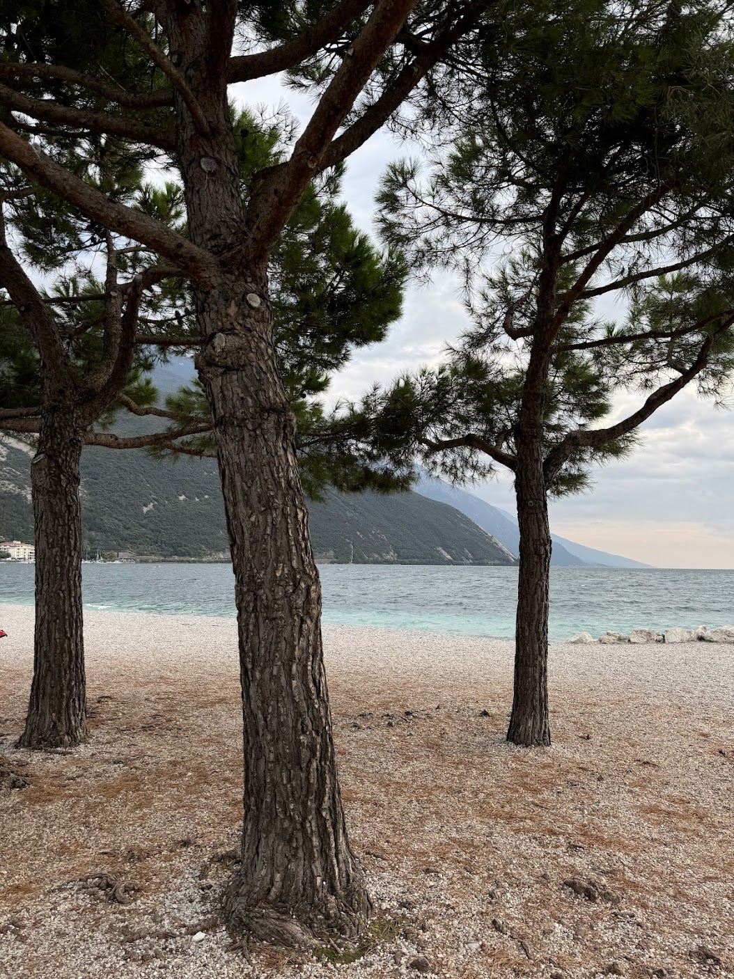 Gardasee mit dem Camper erkunden: Ein unvergesslicher Roadtrip durch Italien