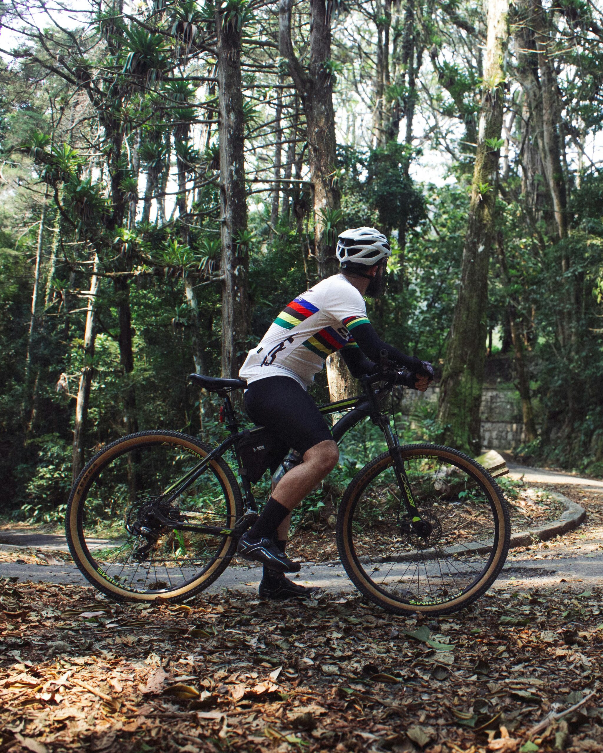 🚴‍♂️ Radparadies Österreich: Die 10 schönsten Radtouren im Überblick